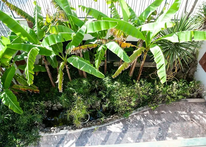 מלון Garden 3*